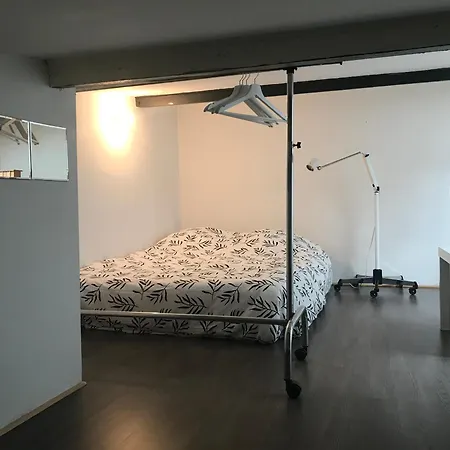 Appartement Loft Dans Le Centre